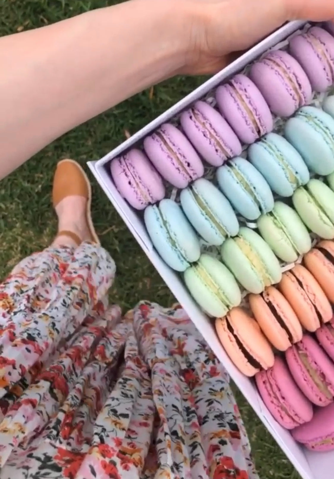 Assorted Macarons